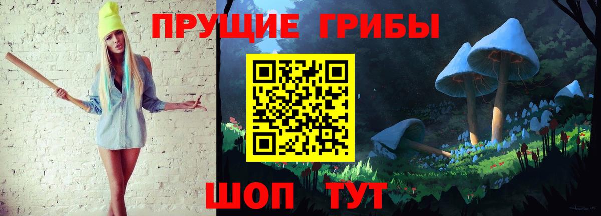 Псилоцибиновые грибы GOLDEN TEACHER  как найти наркотики  Зерноград  Вход с VPN 