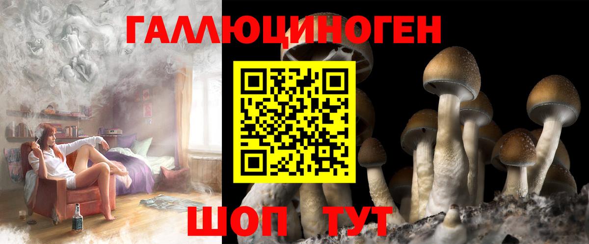 Псилоцибиновые грибы Magic Shrooms Зерноград